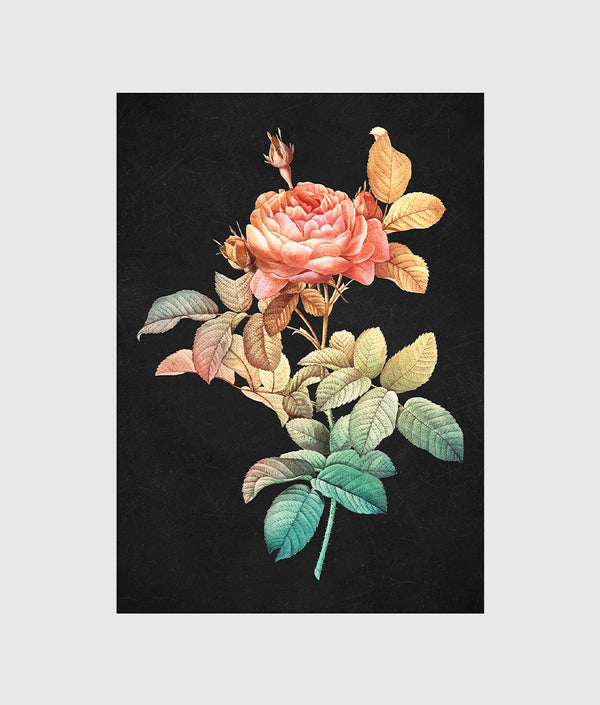 Timeless Roses in Vintage Hue