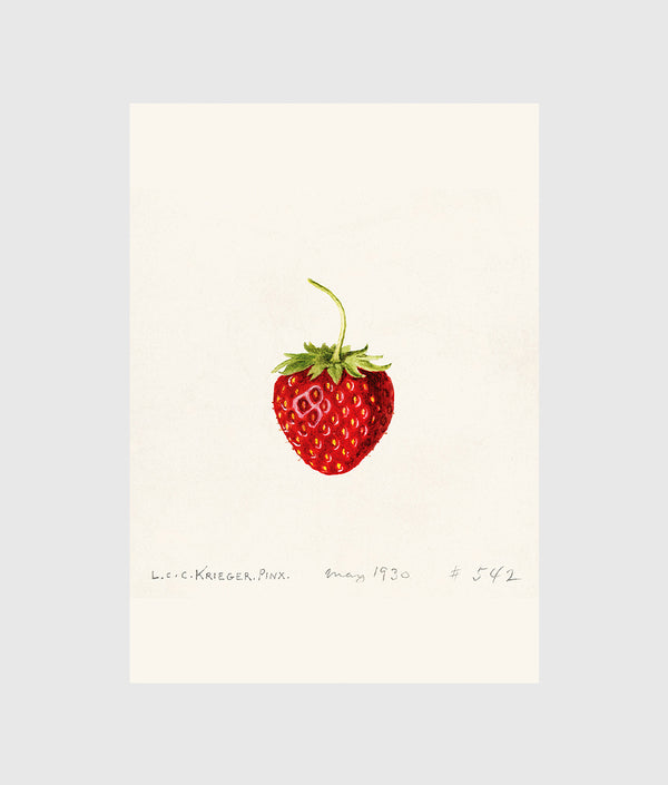 Strawberry Print