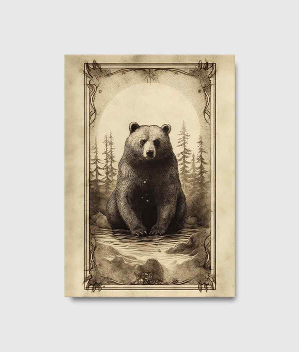 Bear Illustration