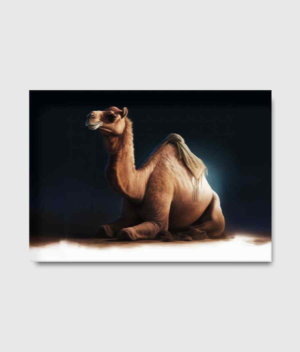 Sweet Sitting Camel