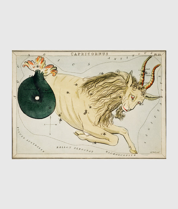 Capricornus