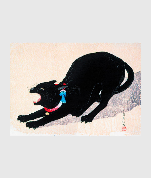 Black Cat Hissing 20th century