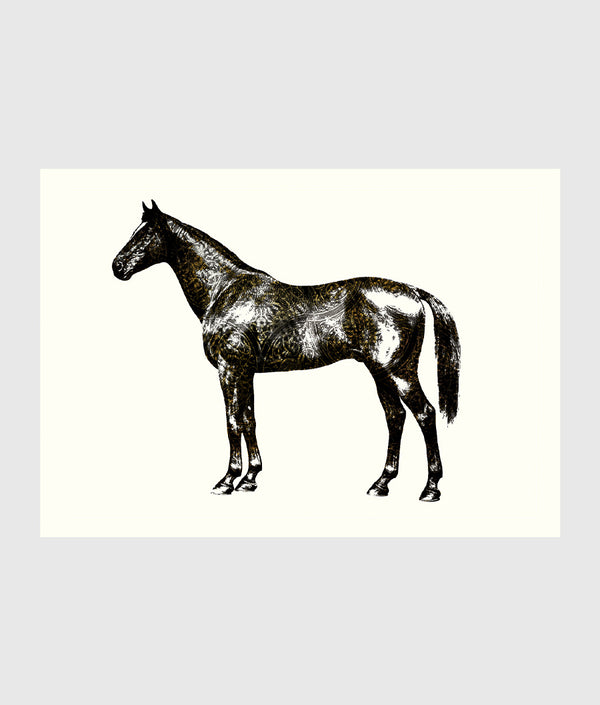 Horse Print