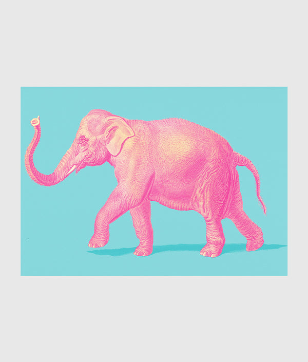 Pink Elephant print