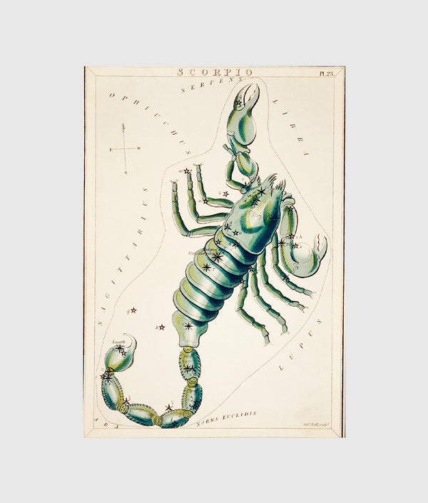 Sidney Hall’s astronomical chart illustration of the Scorpio