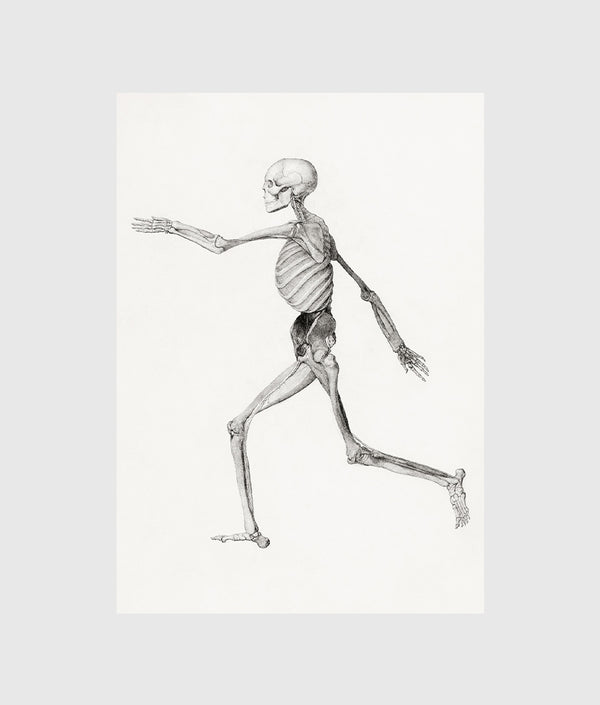 Walking Skeleton