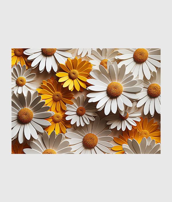 white yellow daisies flowers