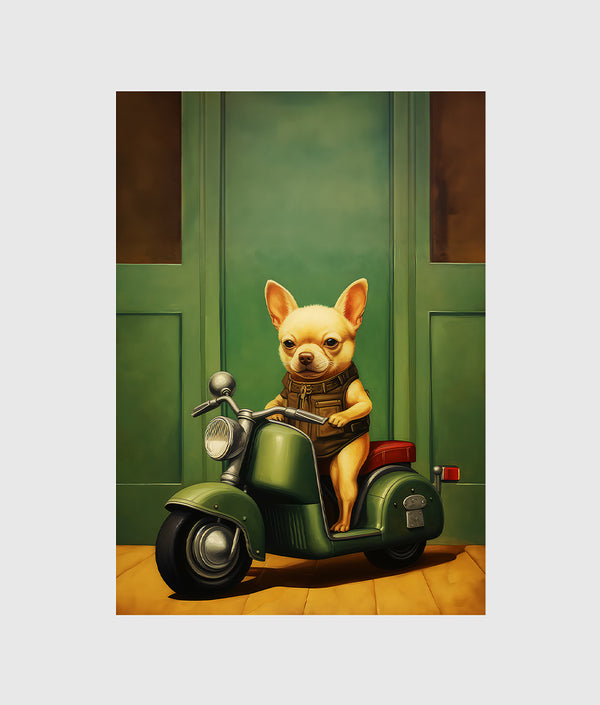 Chihuahua On A Vespa