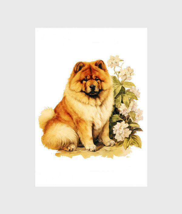 Chowchow flowers