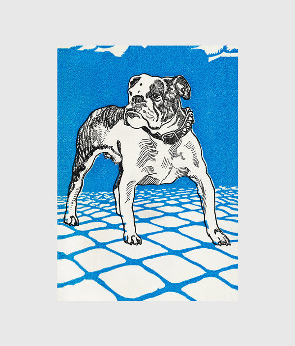 vintage american bulldog illustration 1912 by moriz jung